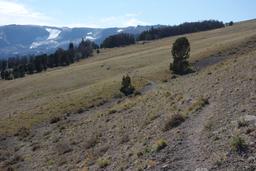 Looking back at the whiskey mountain cutoff trail [sat sep 4 16:05:33 mdt 2021]